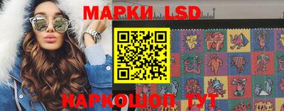 амф Гатчина