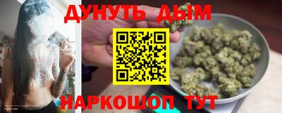 амф Гатчина