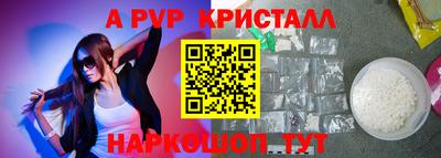 амф Гатчина