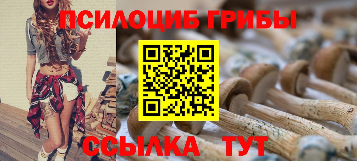 Псилоцибиновые грибы MAGIC MUSHROOMS Можга