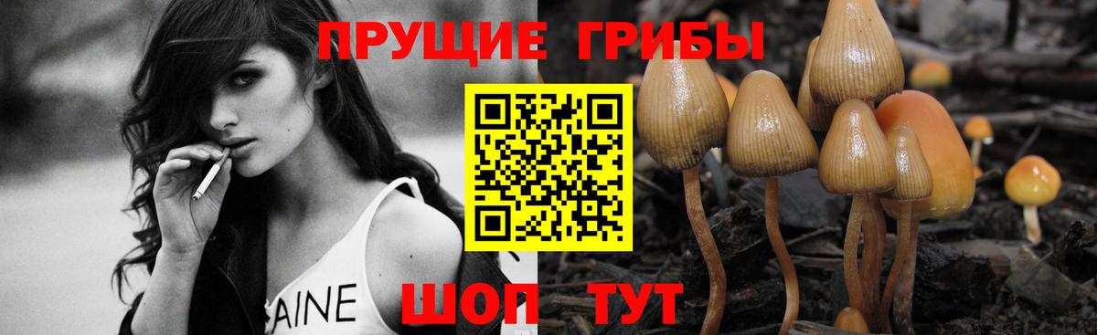 Можга  Псилоцибиновые грибы ЛСД  Вход с VPN 